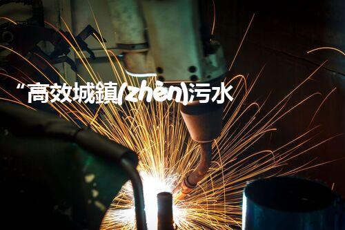 “高效城鎮(zhèn)污水處理流程，守護(hù)碧水藍(lán)天新篇章”